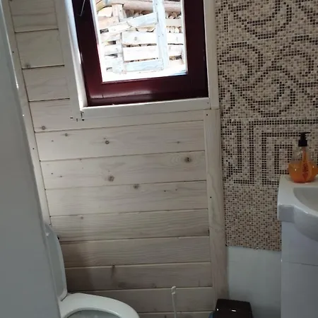 Guest house карпати анастасія Skole