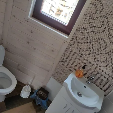 карпати анастасія Skole