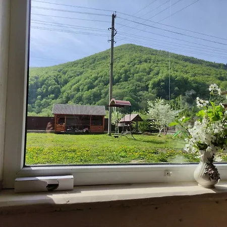 карпати анастасія