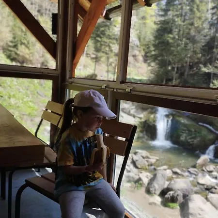 карпати анастасія Guest house