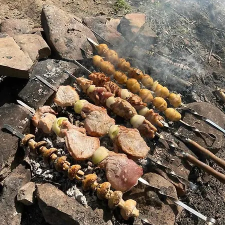 карпати анастасія 게스트하우스 *