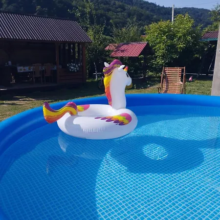 карпати анастасія Guest house Skole