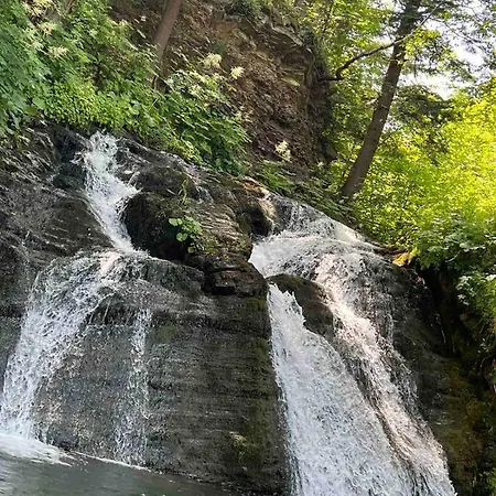 карпати анастасія Guest house