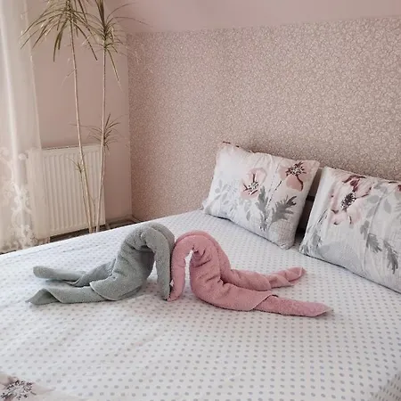 карпати анастасія * Skole