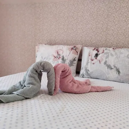 карпати анастасія *