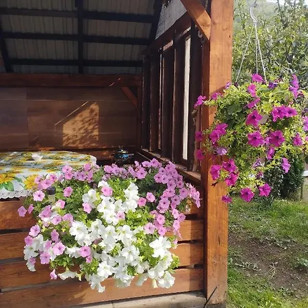 게스트하우스 карпати анастасія 스콜레