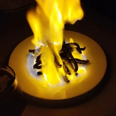 Guest house карпати анастасія