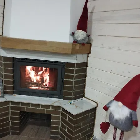 Guest house карпати анастасія *