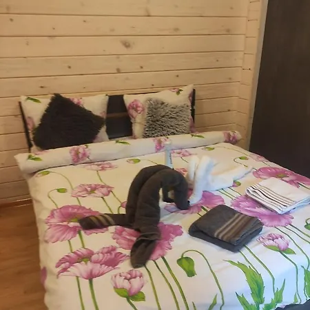 карпати анастасія *