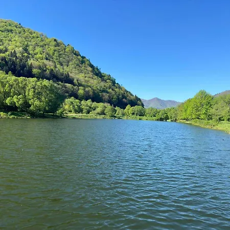 карпати анастасія Guest house