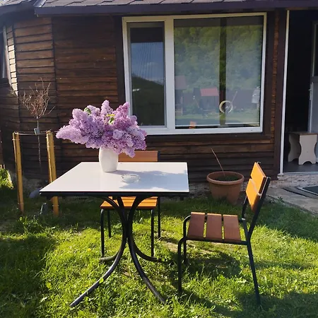 карпати анастасія Guest house