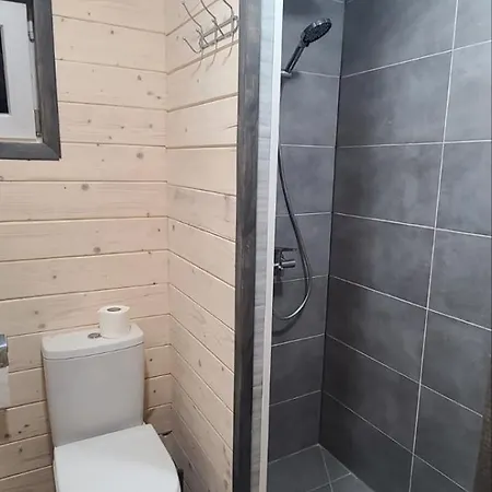 Guest house карпати анастасія