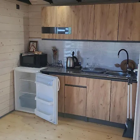 карпати анастасія Skole