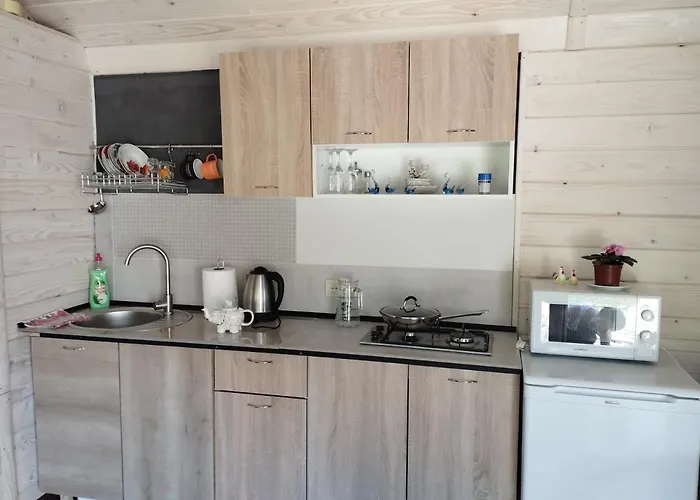 Guest house карпати анастасія
