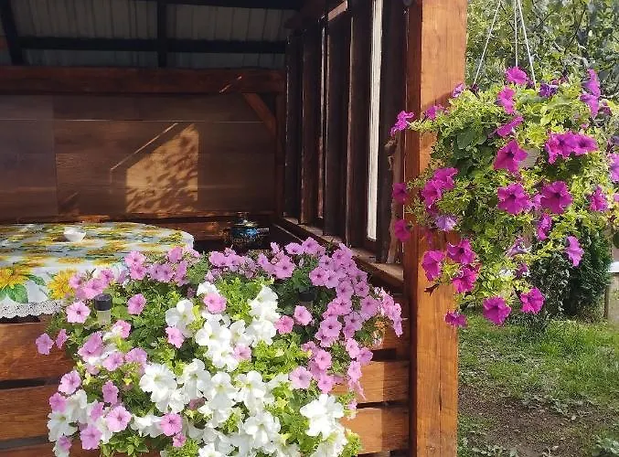 Guest house карпати анастасія Skole