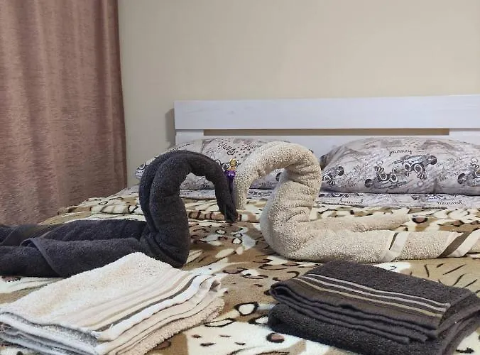 карпати анастасія *