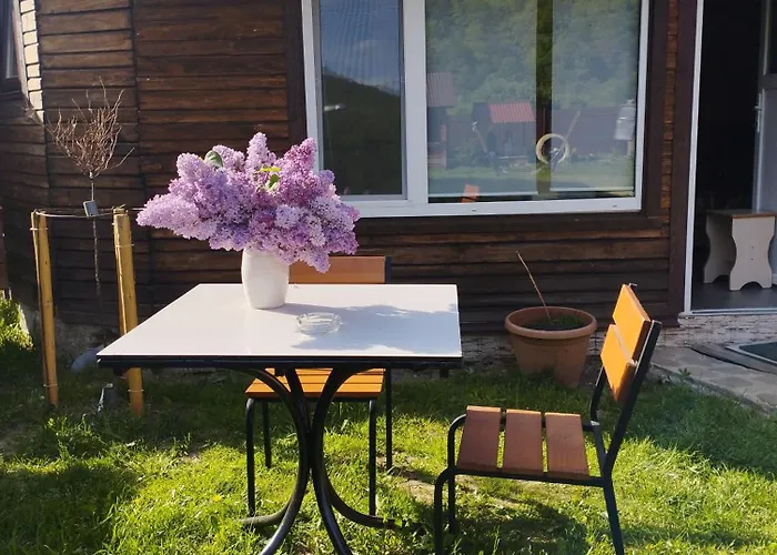 карпати анастасія Guest house