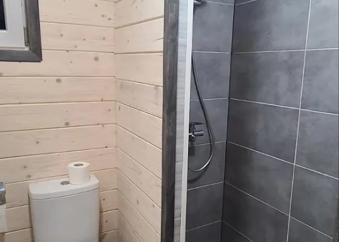 Guest house карпати анастасія