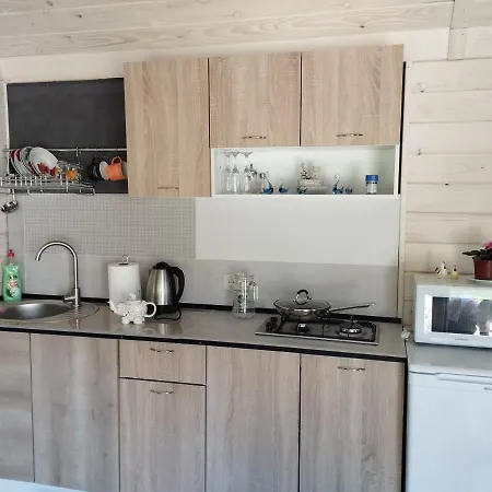 Guest house карпати анастасія