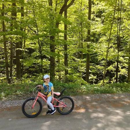 Guest house карпати анастасія