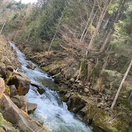 Guest house карпати анастасія