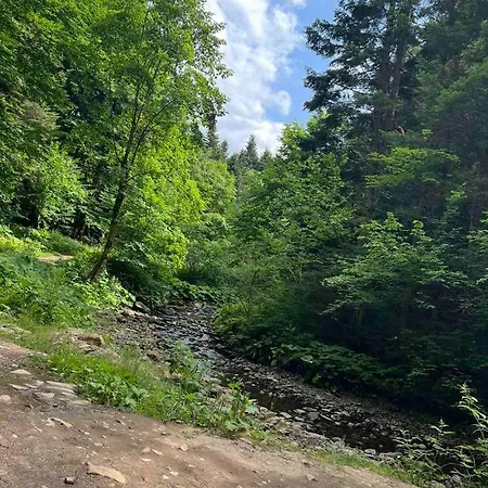 карпати анастасія