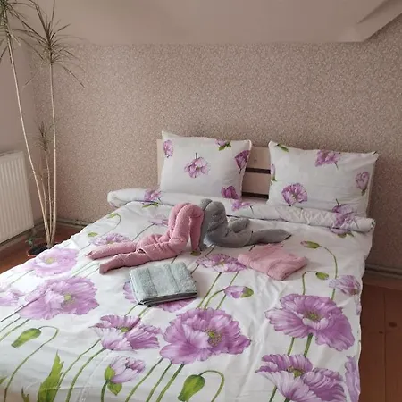 Gasthof карпати анастасія Skole