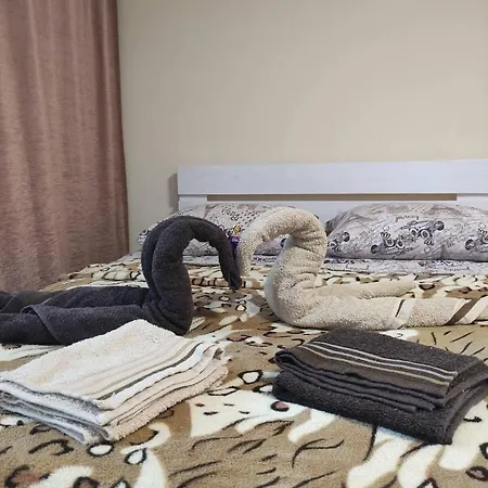 карпати анастасія *