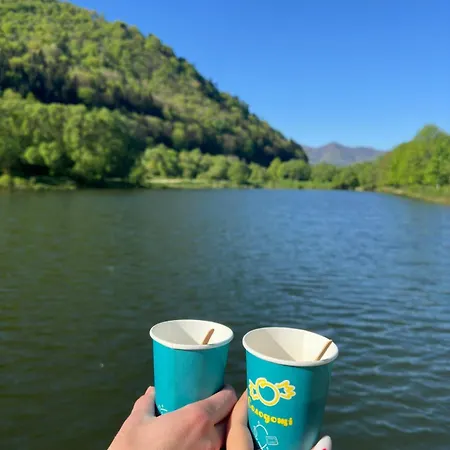 карпати анастасія Guest house *