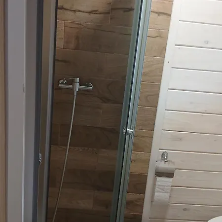 карпати анастасія Skole