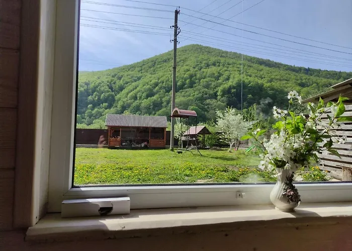 карпати анастасія