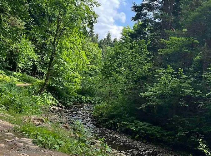 карпати анастасія
